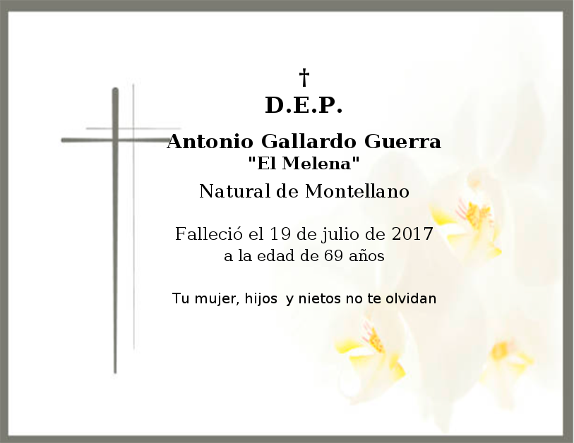 Memorial de Antonio Gallardo Guerra